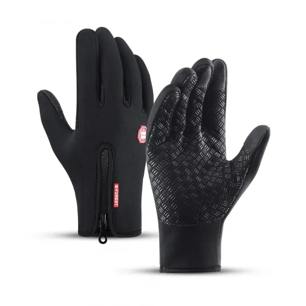 Hiver, gants Homme